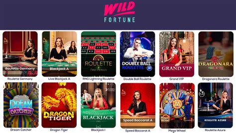 wild fortune casino login